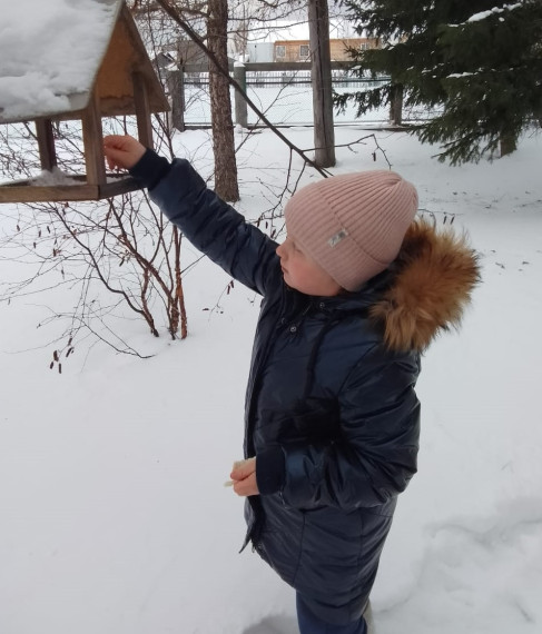 В заботе о птицах.
